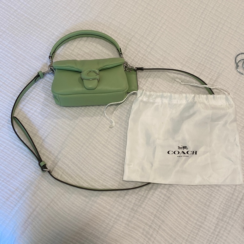 Pillow Tabby Mini Leather Crossbody in Pale Pistachio